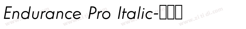 Endurance Pro Italic字体转换